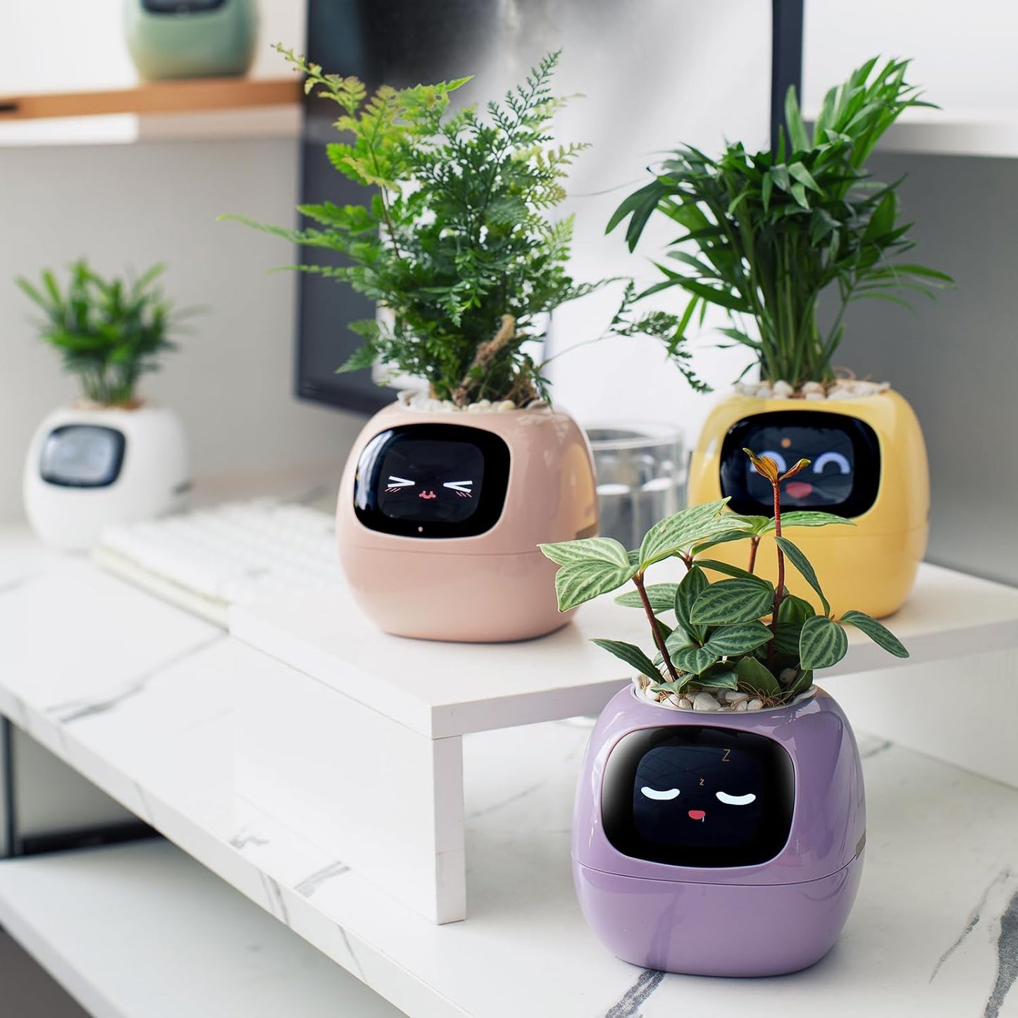 Sproutly - AI Smart Planter with Expressions