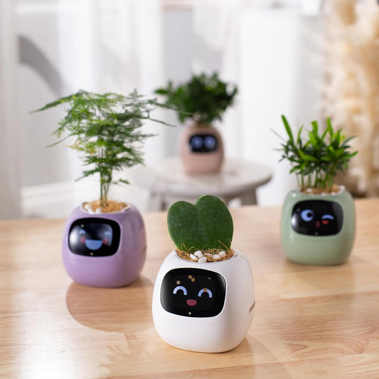 Sproutly - AI Smart Planter with Expressions