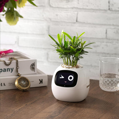 Sproutly - AI Smart Planter with Expressions